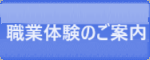 職業体験のご案内